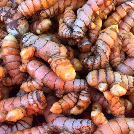 RED TURMERIC (Tuber)