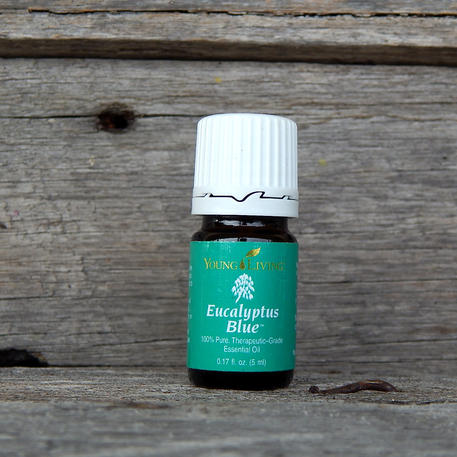 EUCALYPTUS BLUE 5ml