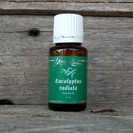EUCALYPTUS RADIATA 15ml