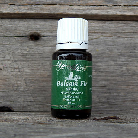 IDAHO BALSAM FIR