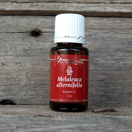 MELALEUCA ALTERNIFOLIA 15ml (Tea-Tree)