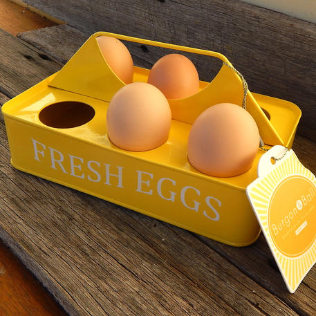 EGG COLLECTING CARRIER