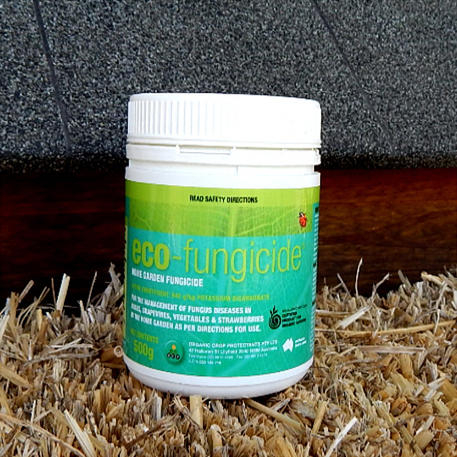 ECO-FUNGICIDE 500g