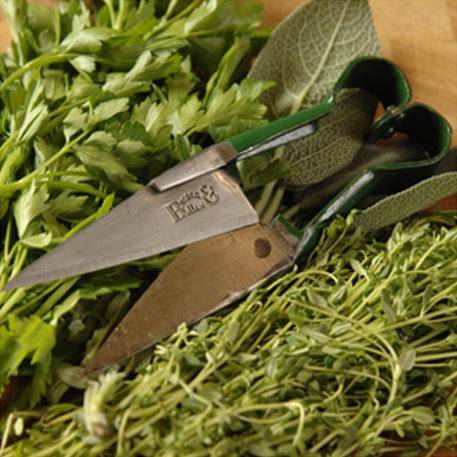 MINI SHEARS / HERB SNIP