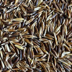 OATS - BLACK