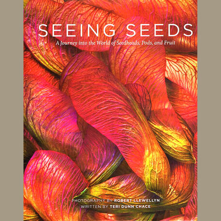 SEEING SEEDS: A Journey Into the World of Seedheads, Pods, and Fruit