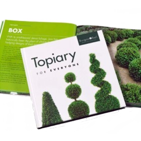 TOPIARY FOR EVERYONE