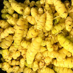 NEW ZEALAND YAM - Fork and Hoe (5 Tubers)