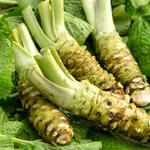 WASABI (1 rhizome)