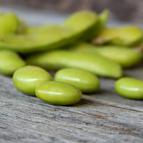SOYBEAN - EDAMAME 0.1kg (100g)