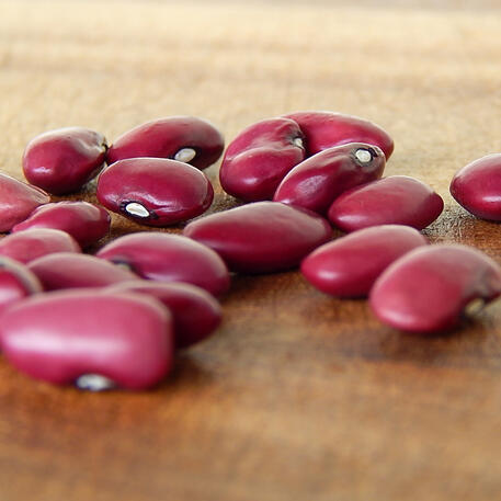 HIDATSA RED INDIAN BEAN (LSP)