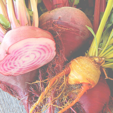 BEETROOT - HEIRLOOM MIX 0.1kg (100g)