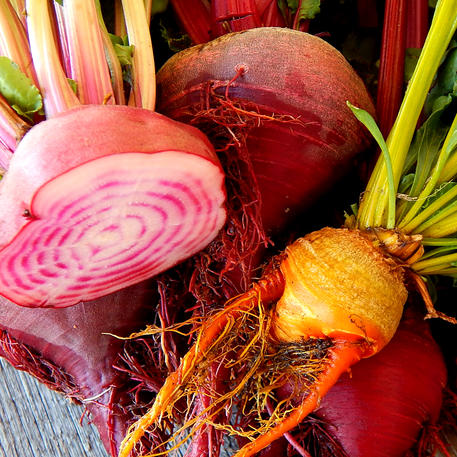 BEETROOT - HEIRLOOM MIX