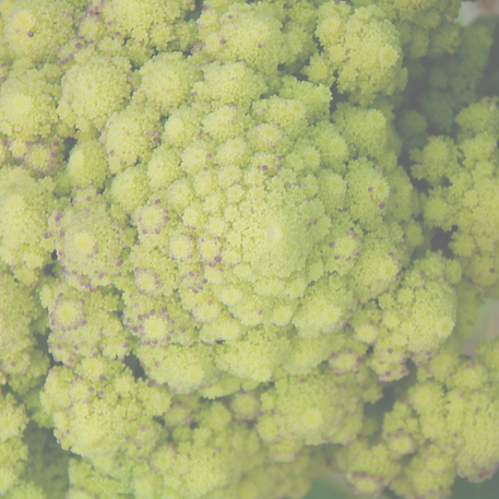 ROMANESCO 0.02kg (20g)