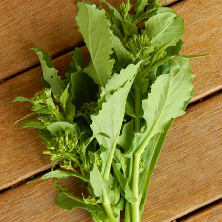 BROCCOLI RAAB - Spring Rapinni