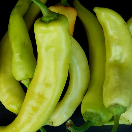 BANANA (Capsicum)