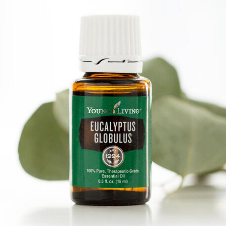 EUCALYPTUS GLOBULUS 15ml