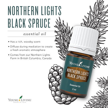 NORTHERN LIGHTS BLACK SPRUCE  15ml