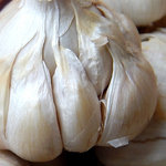 AUSTRALIAN WHITE