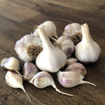 WHITE RUSSIAN (Garlic)