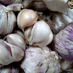 NEW ZEALAND RED