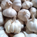 PERUVIAN WHITE