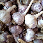 SPANISH VIOLET