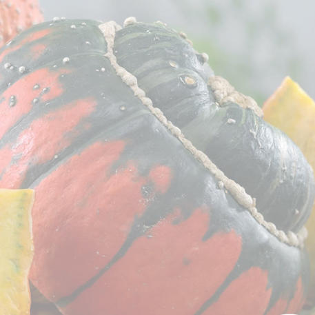 TURK'S TURBAN (Gourd) 200g