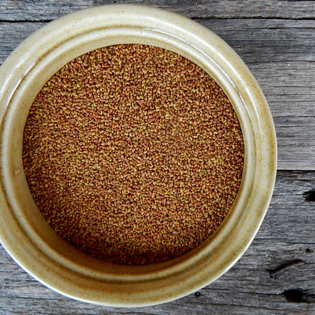 ALFALFA (FOOD GRADE)