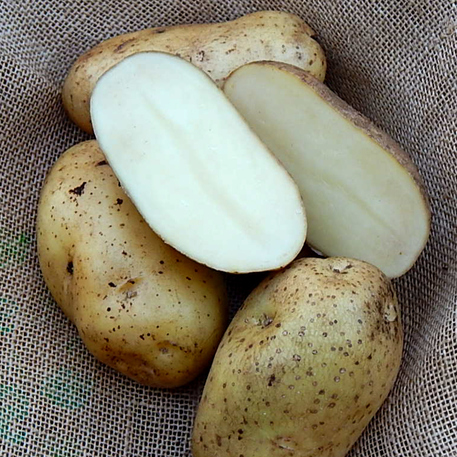PENTLAND DELL - 1kg
