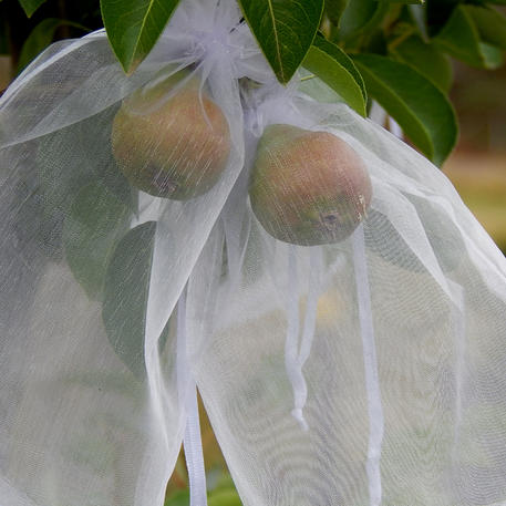 BLOSSOM BAGS