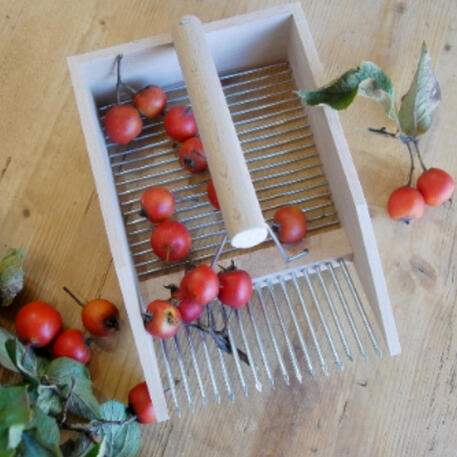 FRUIT COMB