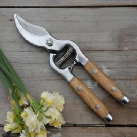 WOOD HANDLED SECATEURS