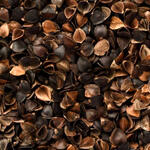 BUCKWHEAT HUSKS