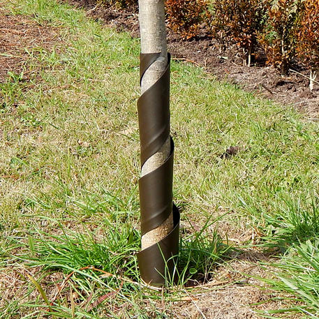 SPIRAL TREE GUARD 45cm