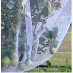 FITTED INSECT EXCLUSION NET