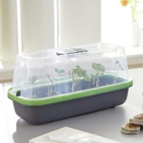 BOCUBE SEEDLING PROPAGATOR