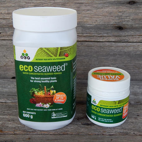 ECO-SEAWEED