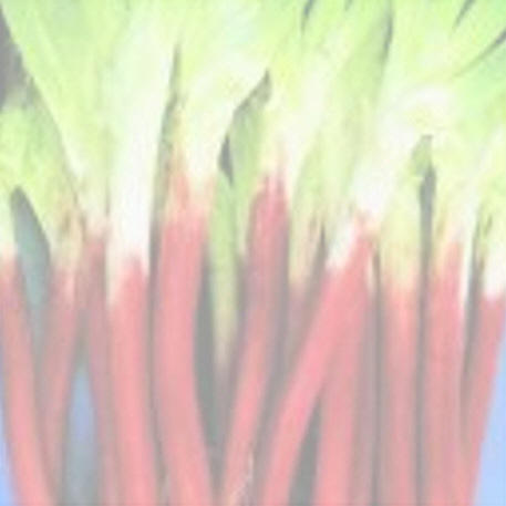 RED BUNCHING 0.05kg (50g)