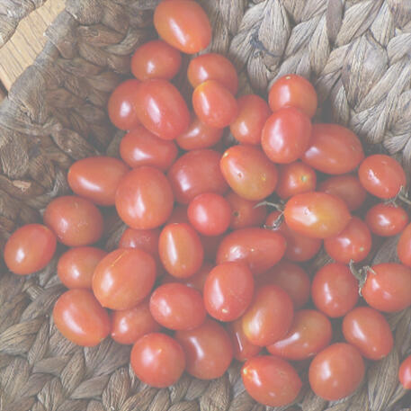 CHERRY ROMA 0.02kg (20g)