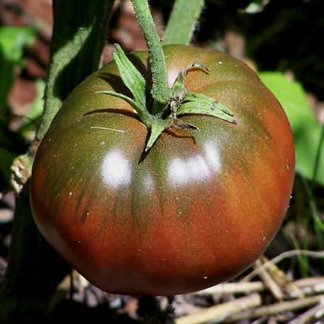 BLACK KRIM 0.002kg (2g)