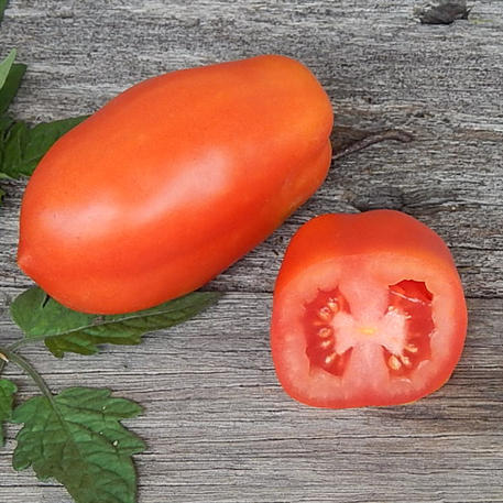 SAN MARZANO