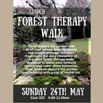GUIDED FOREST THERAPY WALK