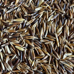 BLACK OATS