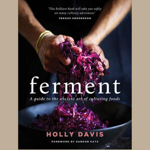 FERMENT (Book)