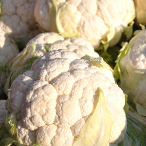 CAULIFLOWER - MINI