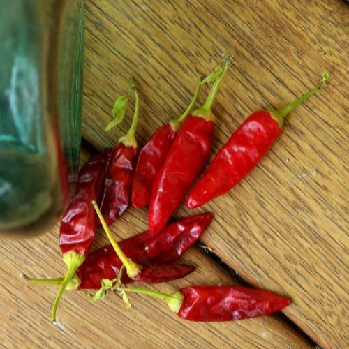 SERRANO