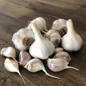 WHITE RUSSIAN (Garlic)