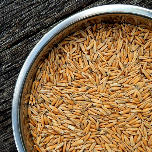 OATS 400g