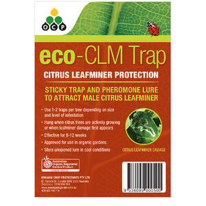 ECO-CLM TRAP 